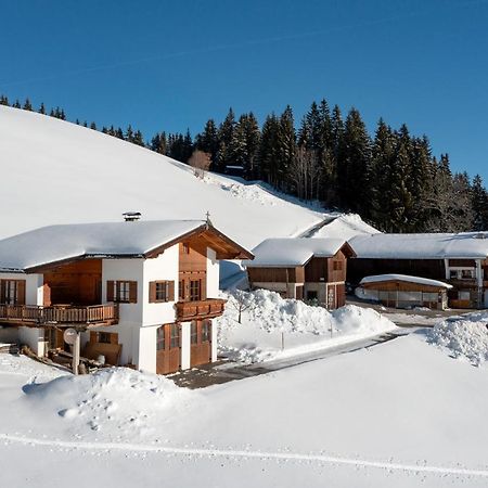 Flecklhuette Villa Hopfgarten im Brixental Exterior photo